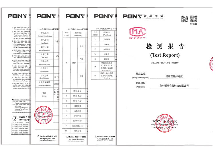 谱尼检测报告