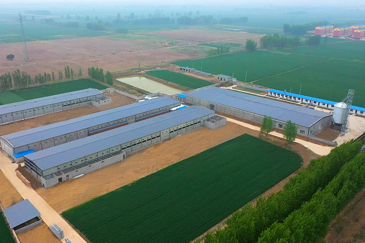 山东硒旺牧业科技有限公司